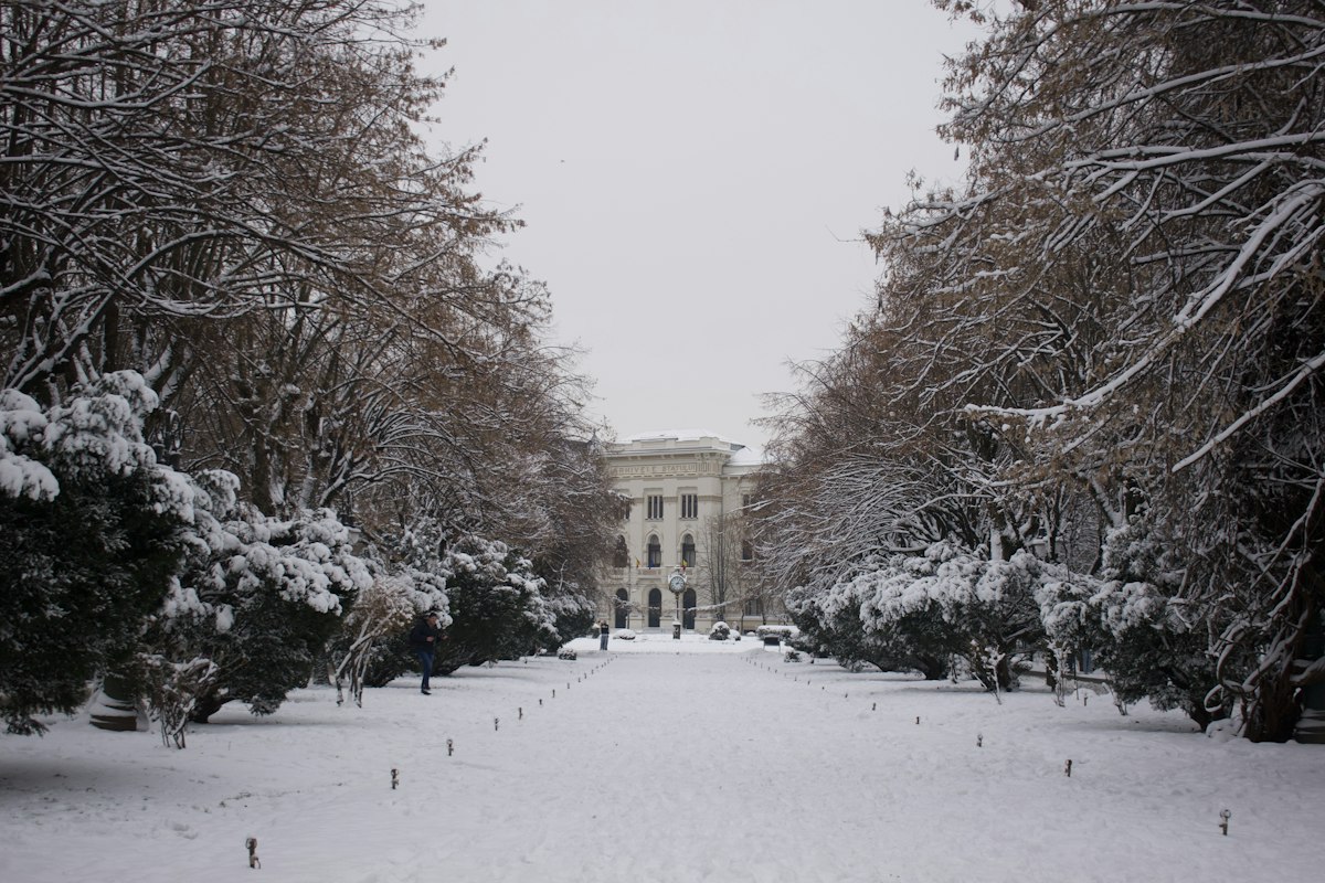 Parc acoperit de zăpadă iarna