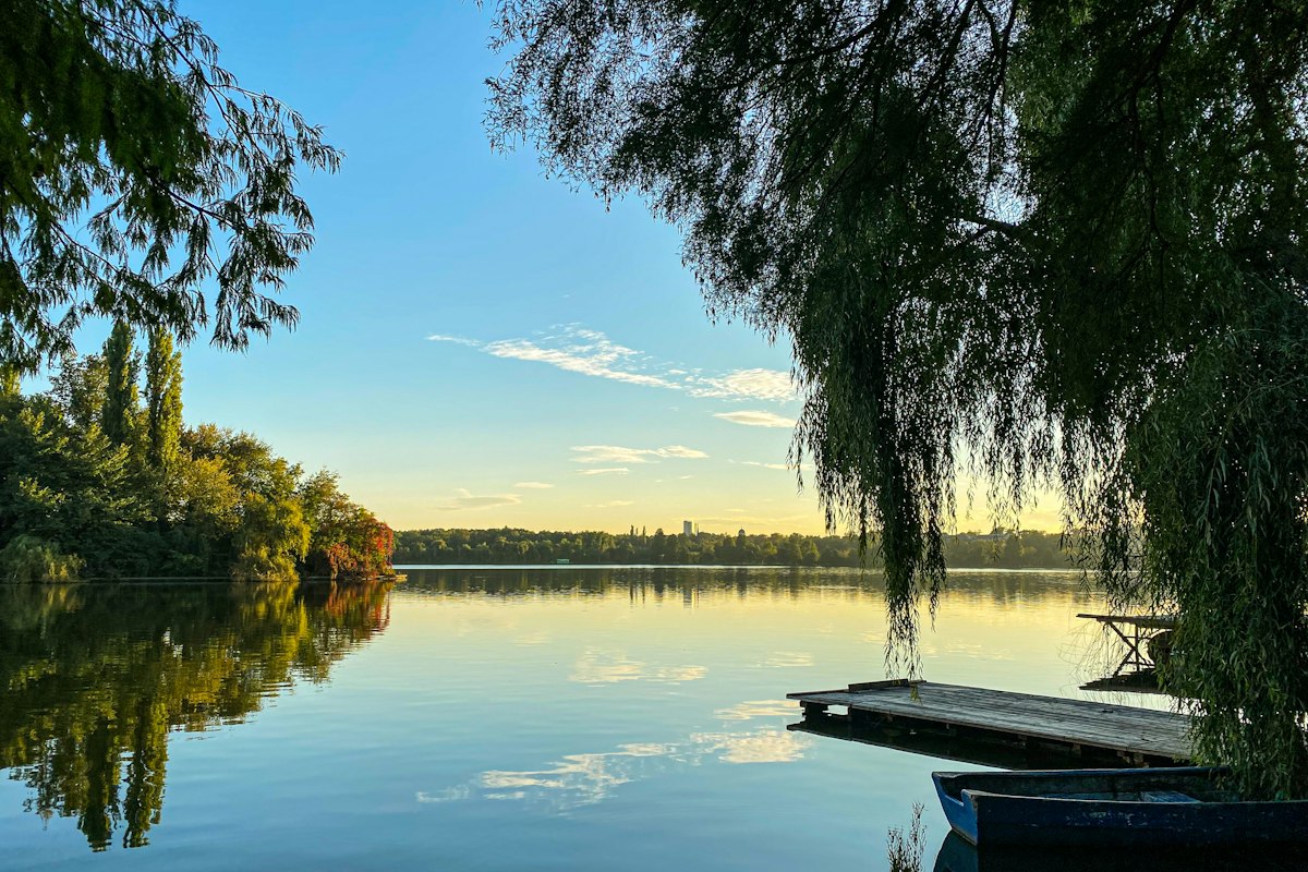 Lac cu sălcii la marginea Bucureștiului